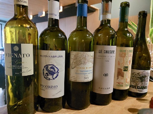 Lundi 16 janvier 2023 : Masterclass Vins Italiens