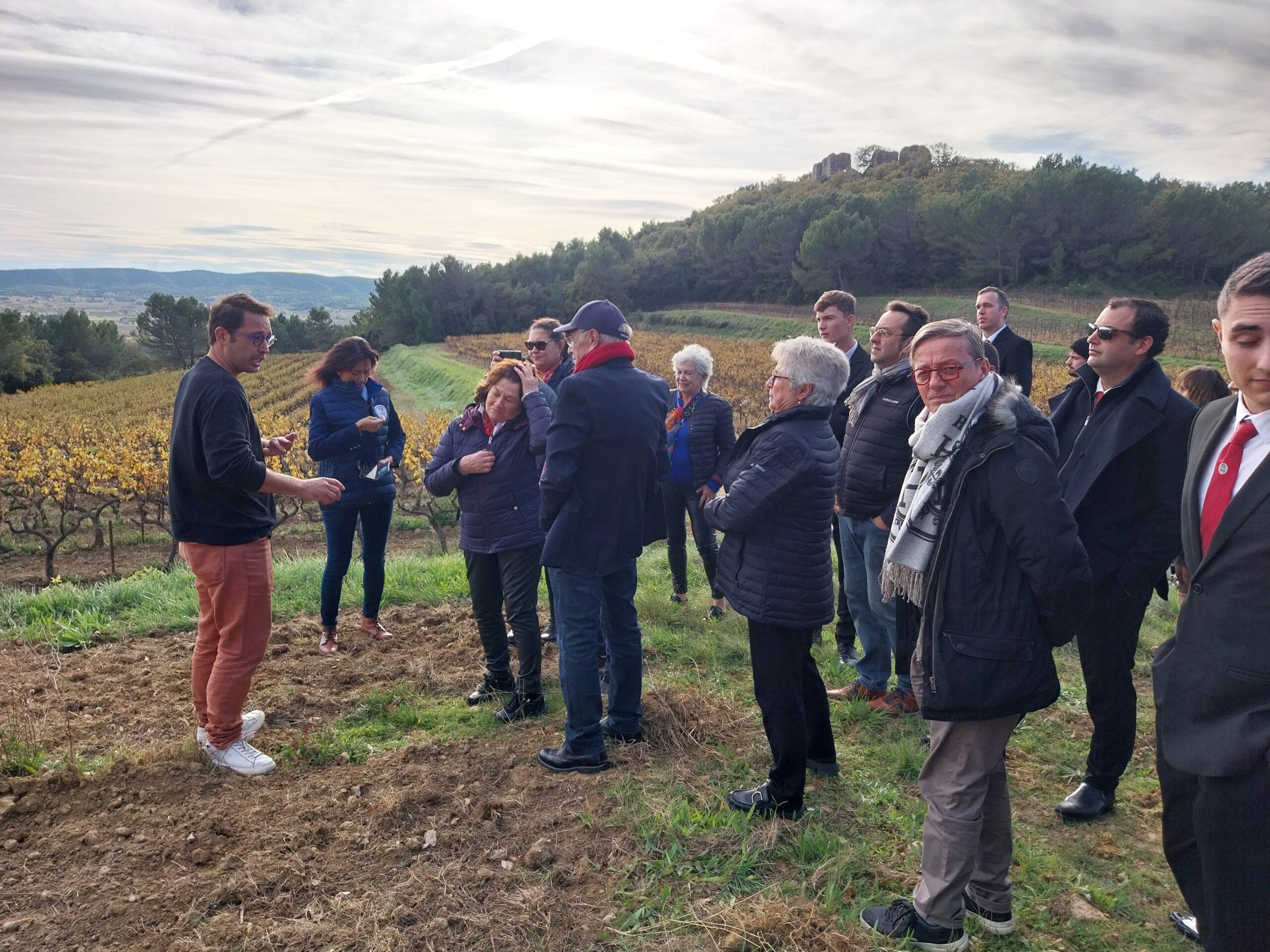 Parrainage des élèves M.C.S. Marseille et découverte du nouveau cru LAUDUN                    le 18 novembre 2024