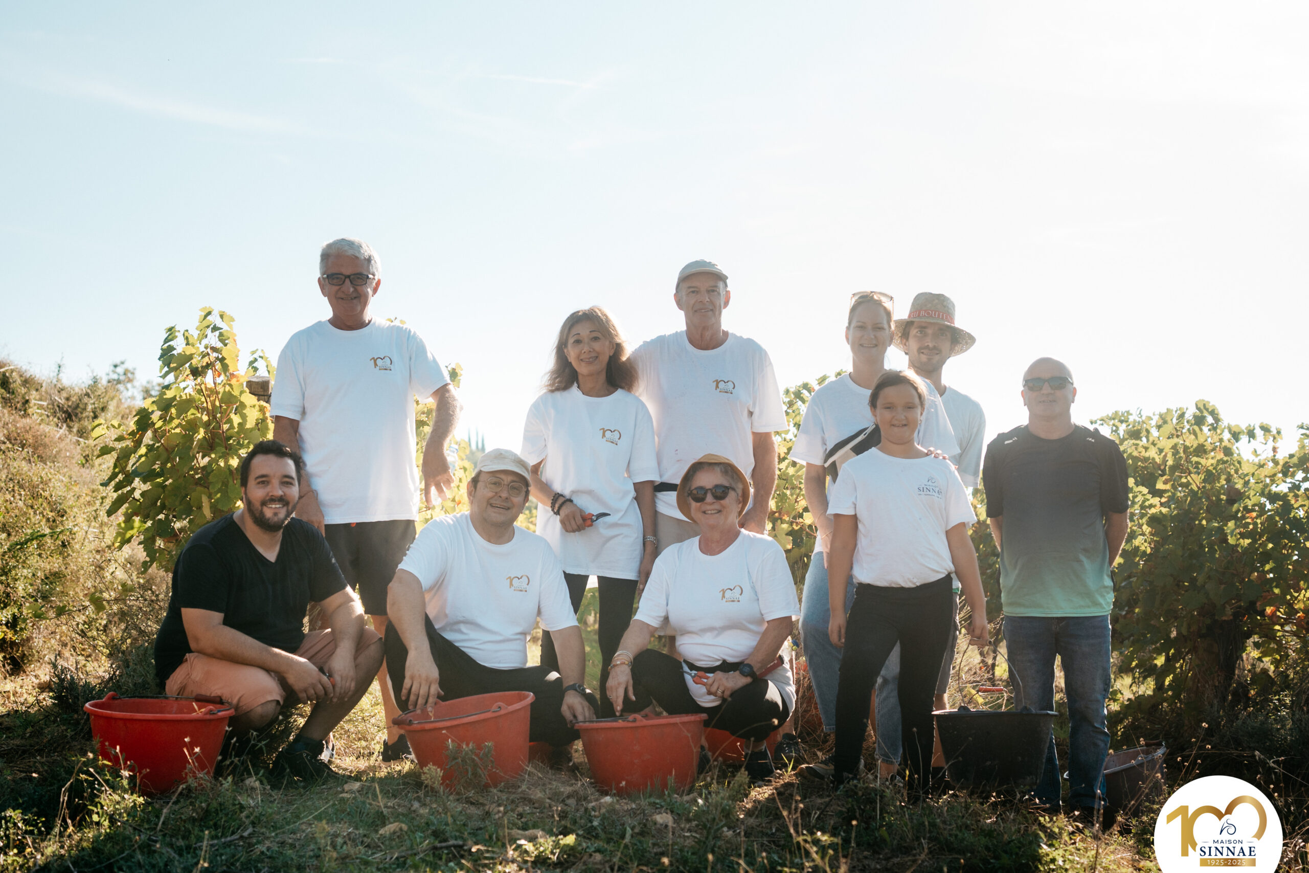 Vendange du centenaire à la Maison Sinnae le samedi 20 septembre 2025
