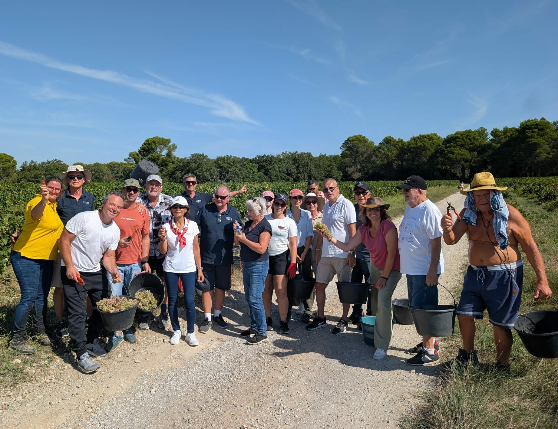 Vendanges au Château de Beaupré, dégustations puis déjeuner autour du taureau de Camargue – lundi 7 septembre 2026